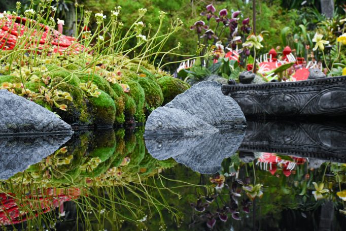 Teichbau Blumen und Pflanzen spiegeln sich im Wasser eines ruhigen Teichs.