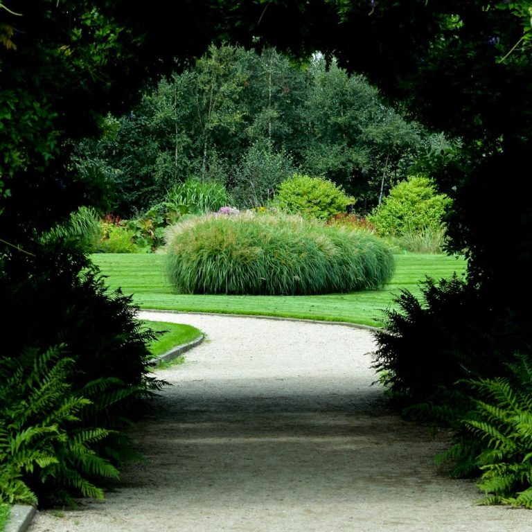 Gartegestaltung Landschaftsgestaltung Gartenbau Ein gepflasterter Weg führt durch einen Garten mit üppigem Grün und runden Sträuchern.